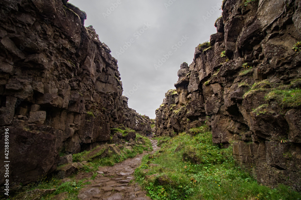 Green Path