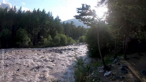 Mountain river flow among the forest