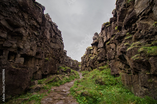 Green Path