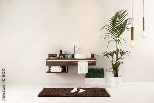 clean bathroom with cabinet design is decorative modern lamp. horizontal detailed photo