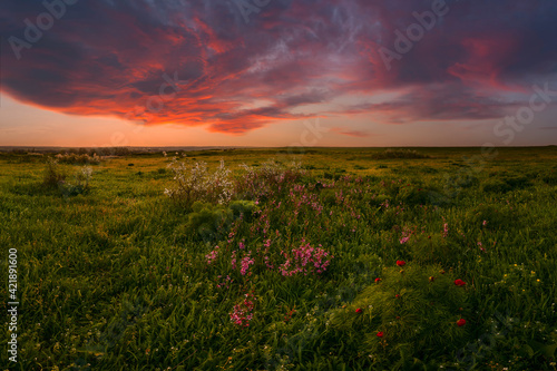 Majestic dawn over spring meadow