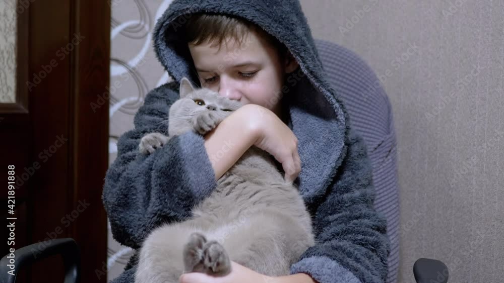 Teenage Boy in Bathrobe Sitting in Chair a Hugging, Stroking a Gray British Cat