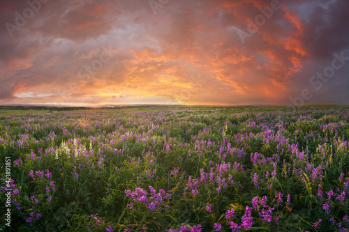 Landscape with decline over meadow