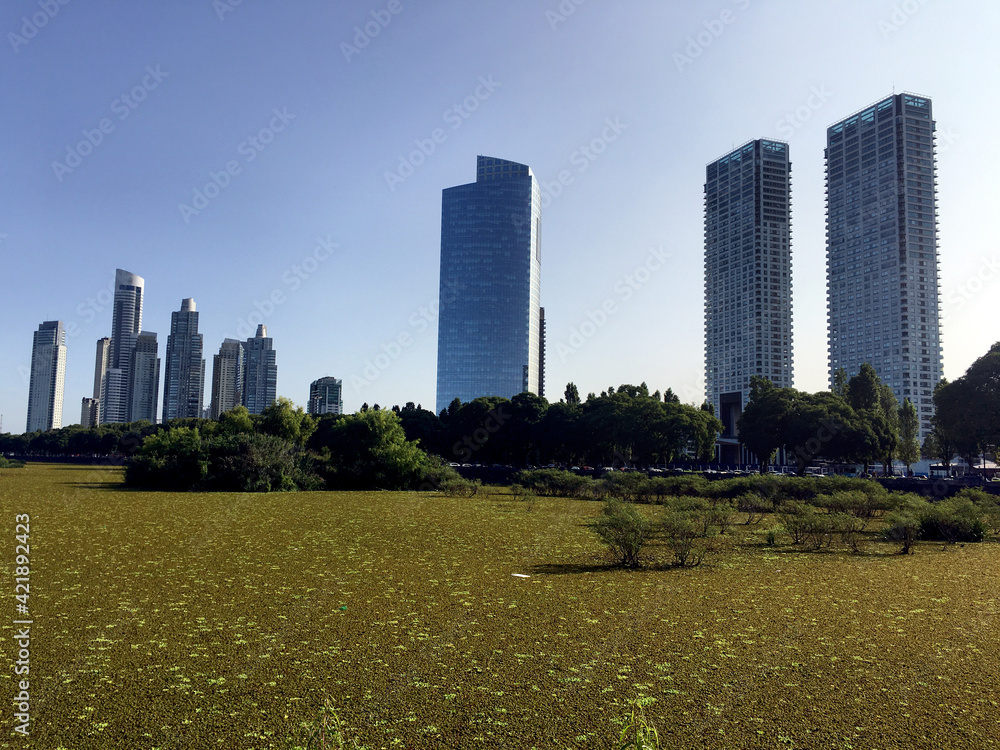 Fototapeta premium Skyline