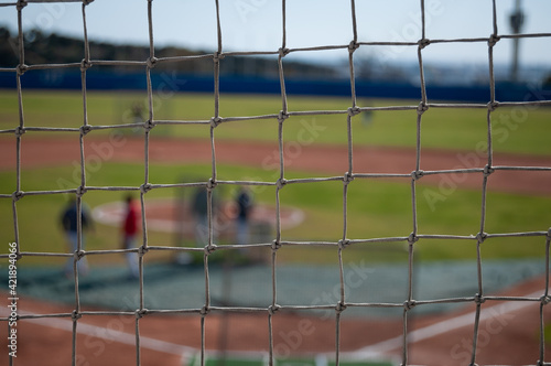 Redes Baseball