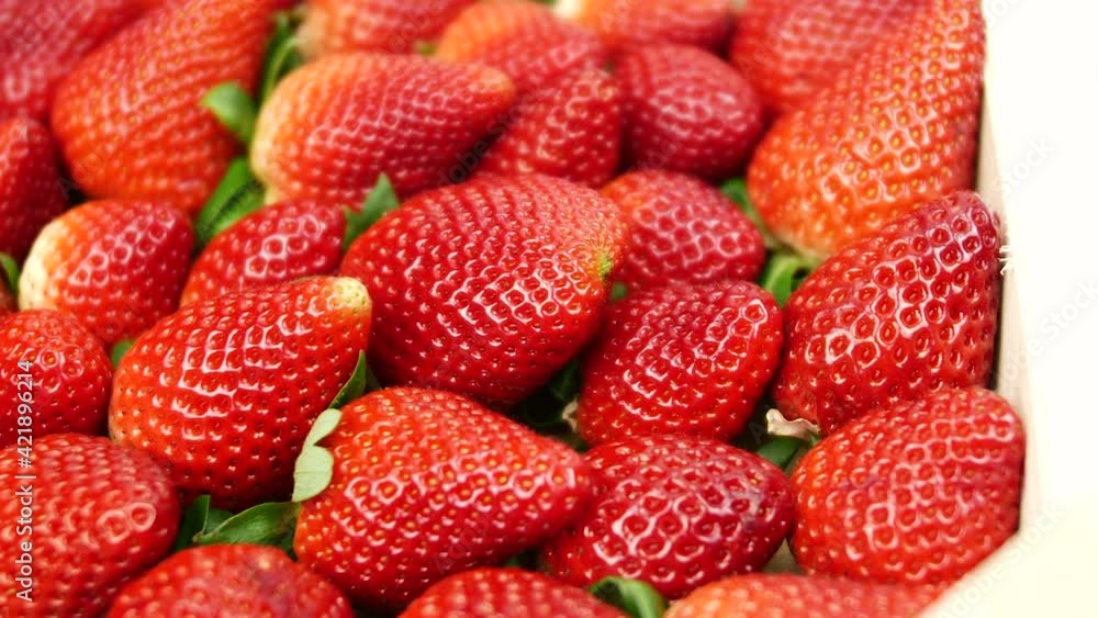 close up of fresh strawberries in a wooden basket.move the camera from right to left. close up of fresh strawberries in a wooden basket.move the camera from right to left.