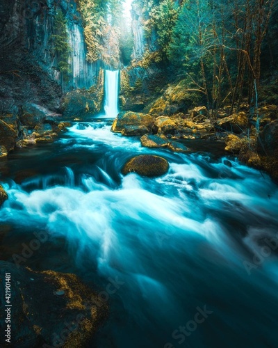 waterfall in the woods