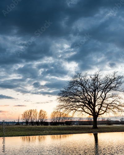 sunrise over the backwaters