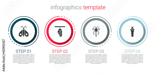 Set Butterfly, cocoon, Spider and Larva insect. Business infographic template. Vector