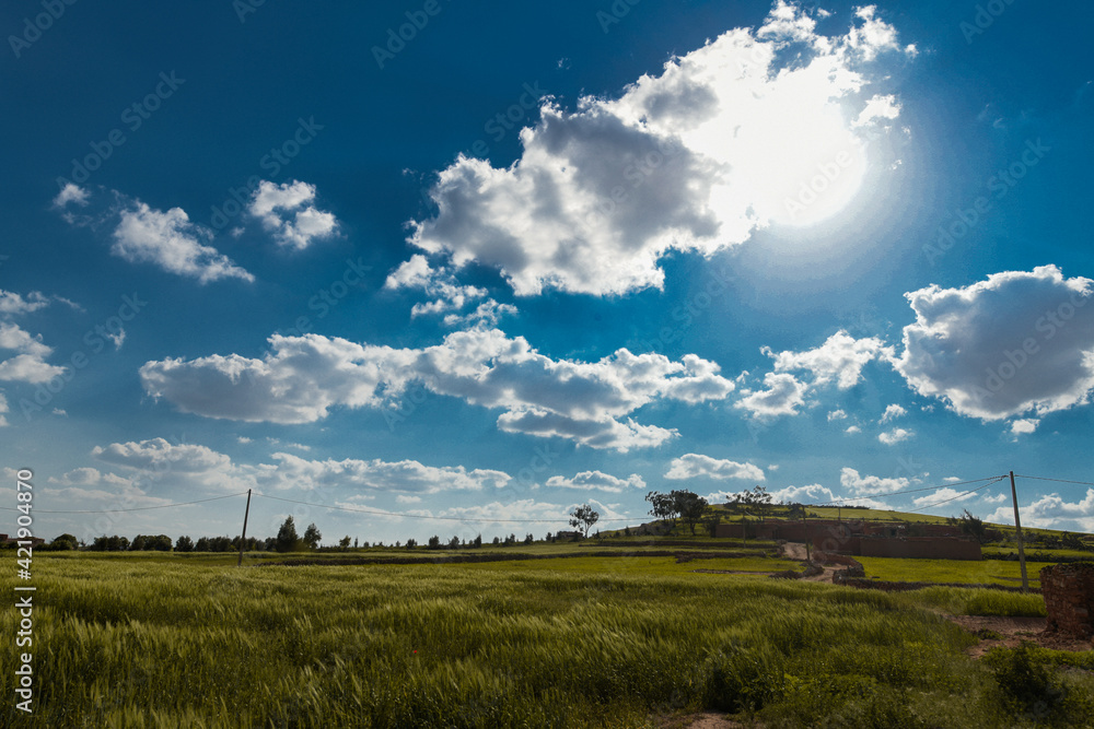 the confluence of blue sky with fields in the small village