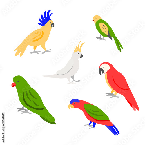 Set of six tropic parrots on white background for prints  decoration  etc