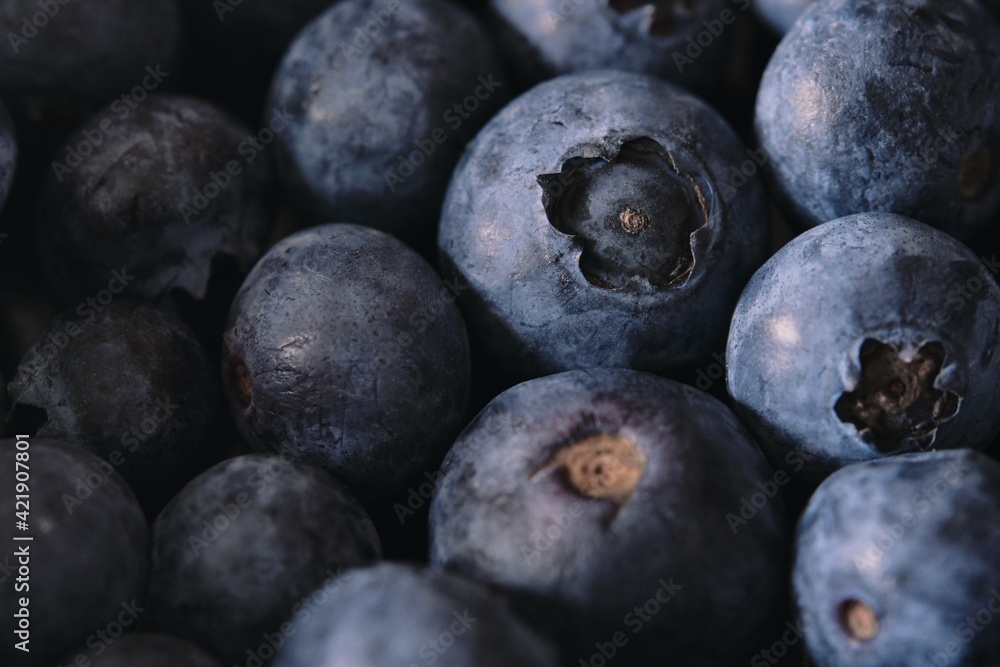 Arándanos, blueberries, berries, bayas, frutos del bosque. Fruta. Arándanos, blueberries, berries, bayas, frutos del bosque. Fruta.