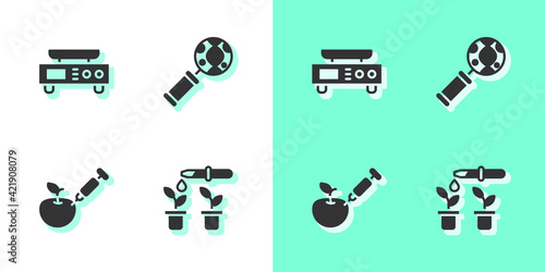 Set Pipette and plant, Electronic scales, Genetically modified apple and DNA research, search icon. Vector