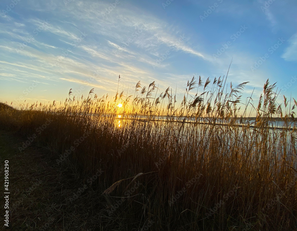 Fototapeta premium Landschaft Foto mit Sonnenuntergang in der Provinz Zeeland Niederlande