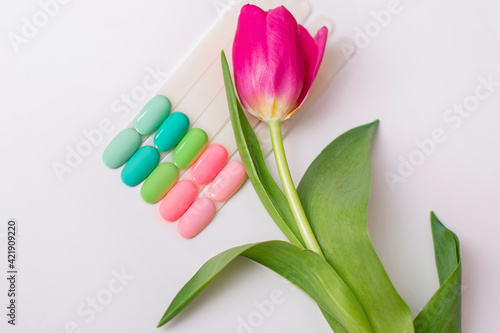Obraz na plátně Spring color palettes of nail gel polish for manicure and pedicure on tulip back