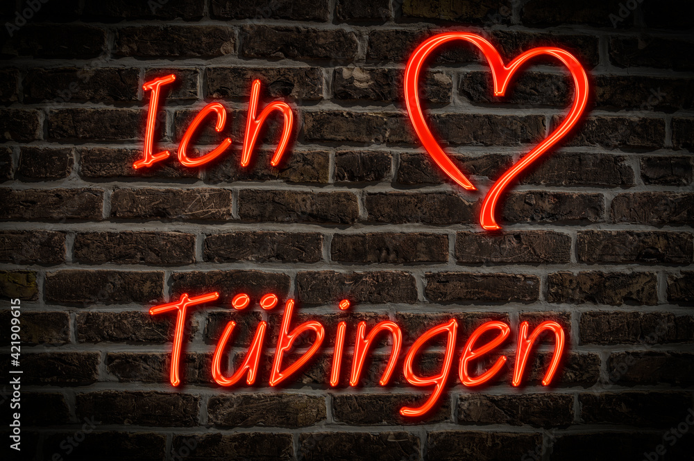 Fototapeta premium Tübingen