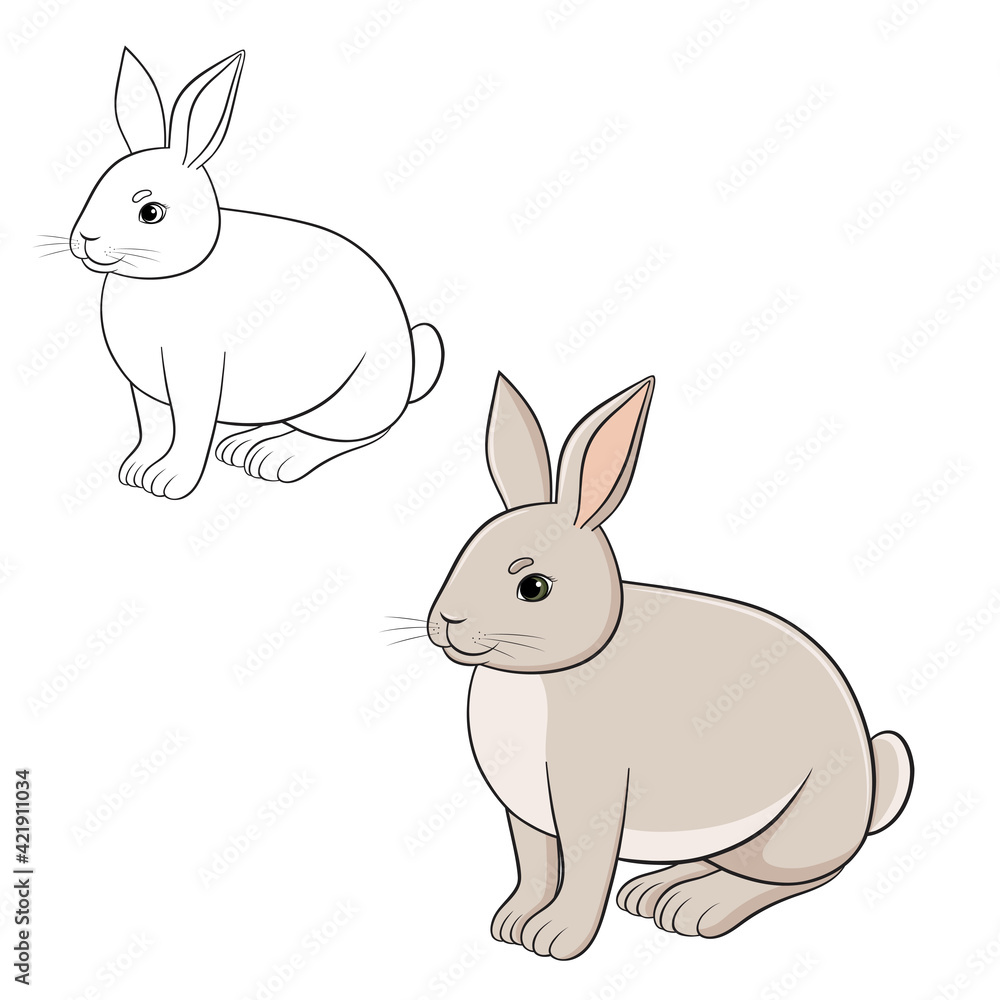 vector illustration with cute rabbit vector illustration with cute rabbit