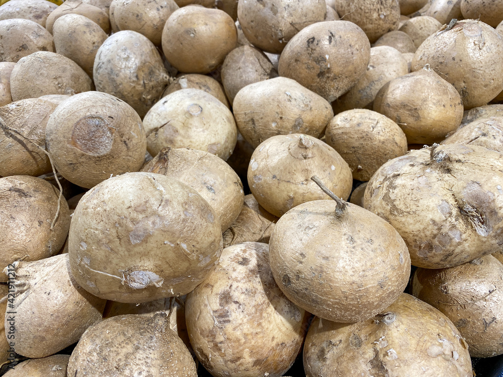 jicama display at farmers market fresh produce organic vegetable food background jicama display at farmers market fresh produce organic vegetable food background
