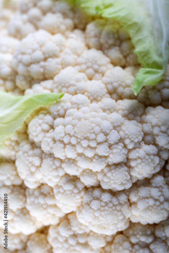 Fresh cauliflower. Background and texture. Close up. Fresh cauliflower. Background and texture. Close up.