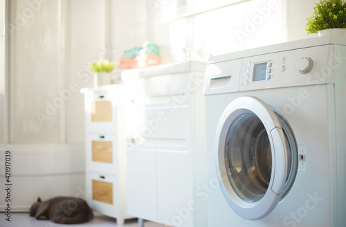 Wallpaper Mural Wonderful design idea for domestic stylish bathroom interior with washing machine in light tones Torontodigital.ca