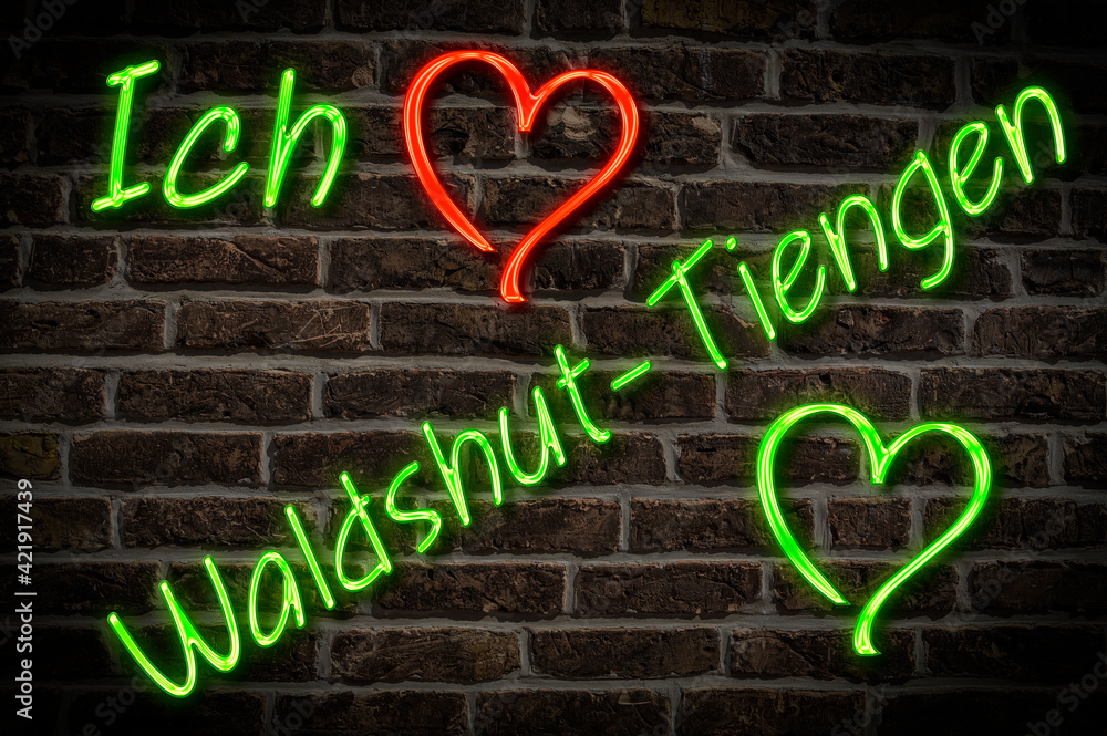 Fototapeta premium Waldshut-Tiengen