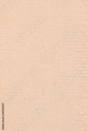 Vintage Paper Texture (ID: 421921457)