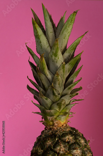 pineapple top crown