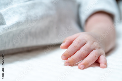 Wallpaper Mural Newborn baby hand on a white fluffy background. Torontodigital.ca