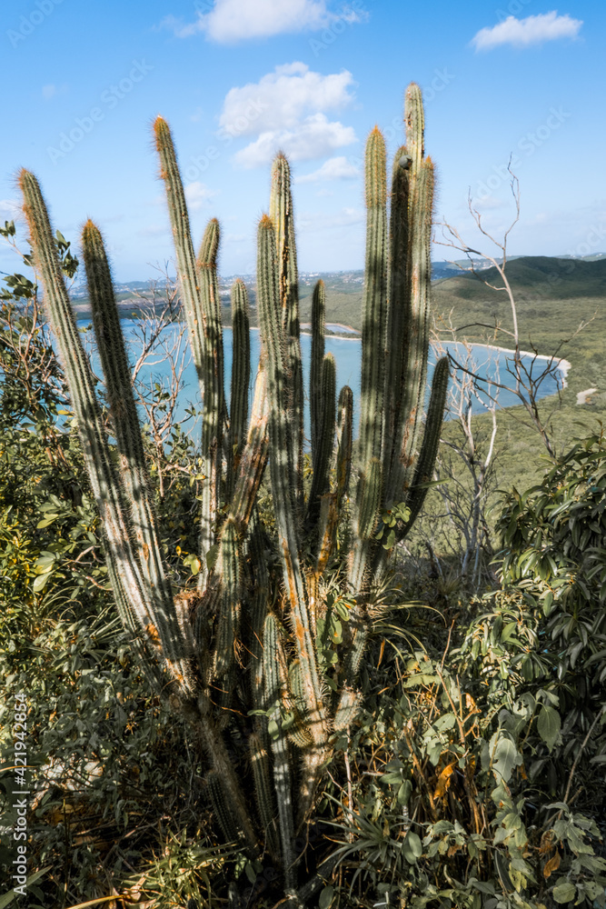 Natural landscape in Antigua and Barbuda Natural landscape in Antigua and Barbuda