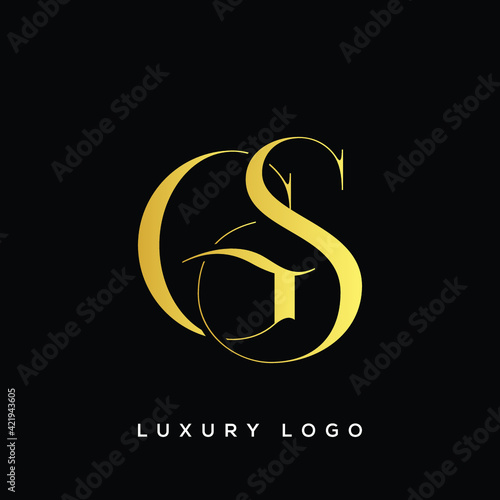 GS letter logo alphabet monogram icon symbol