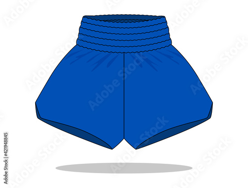 Blue Shorts Boxing-Running Pants Template on White Background, Vector File.