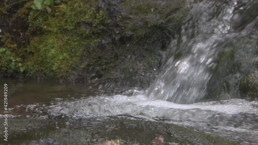 Jet of water falls into pond. Small waterfall surrounded by green mossy rocks. Stream is broken into foam and spray. Riverbed is covered with wet moss leaves. Jet of water falls into pond. Small waterfall surrounded by green mossy rocks. Stream is broken into foam and spray. Riverbed is covered with wet moss leaves.