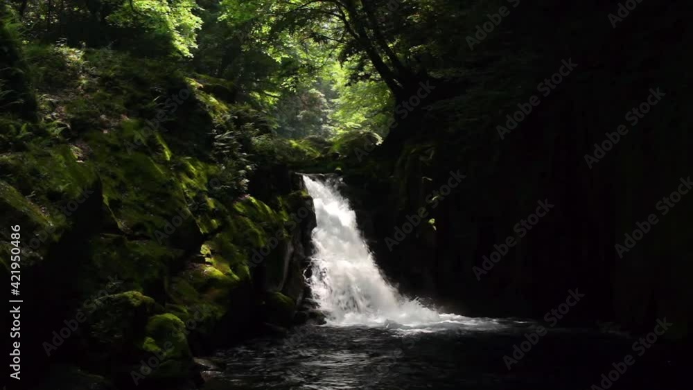 新緑の菊池渓谷 黎明の滝 新緑の菊池渓谷 黎明の滝