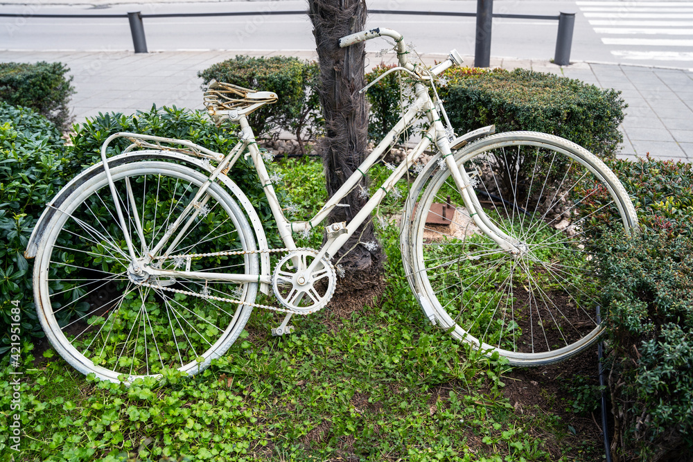 Vintage old white bicycle is parked on the lawn with green grass as art object, leaning on exotic palm tree and surrounded by little bushes.