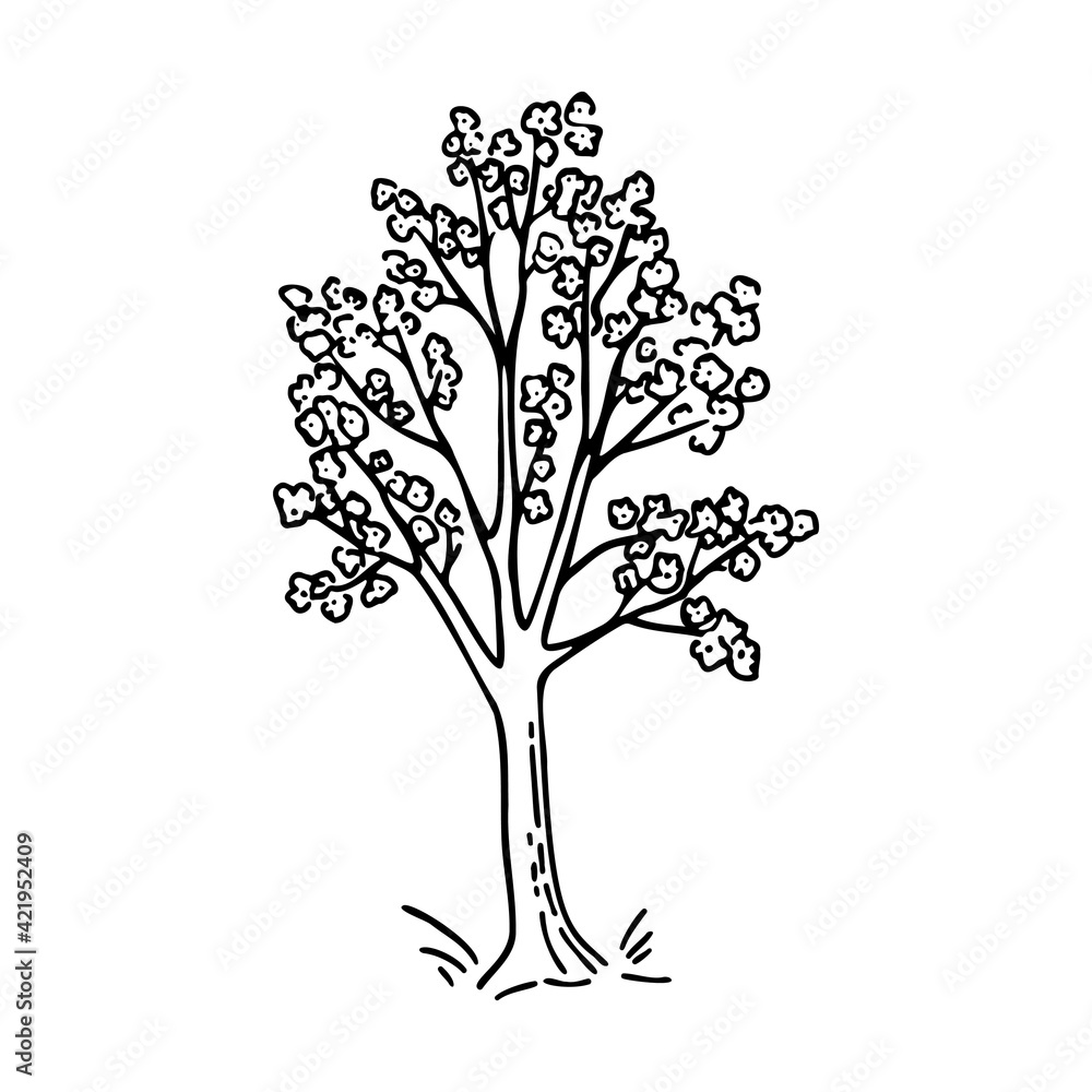 Obraz premium Vector set of doodle elements, hand-drawn. A sketch of a cherry tree on an isolated white background. For prints, stickers, and design.