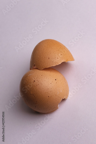 Cascara de huevo fresco.