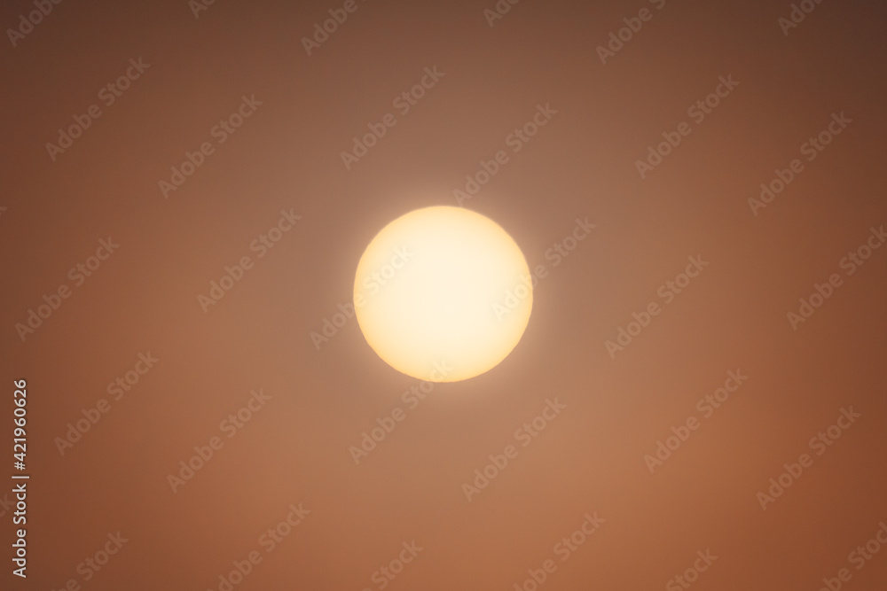 the bright March sun barely breaks through the dense fog on an early spring morning the bright March sun barely breaks through the dense fog on an early spring morning