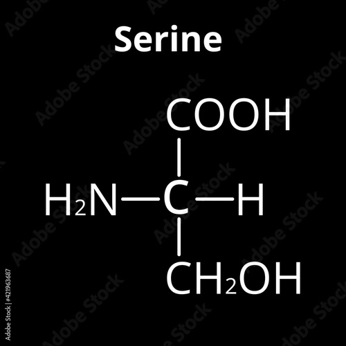 Serine amino acid. Chemical molecular formula Serine amino acid. Vector illustration on isolated background