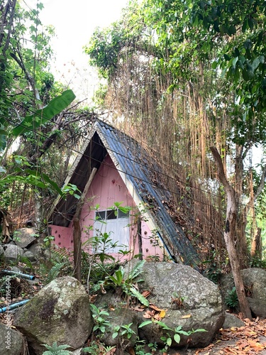 March 18 2021 - Ratchaburi, Thailand : Front of  rural house surrounded by trees in countryside, Suanphueng, Ratchaburi, Thailand. photo