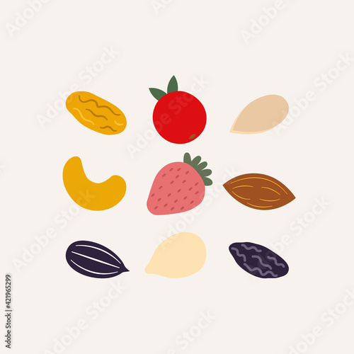 Dry fruit and mix nut set on white background. Vector illustration in flat cartoon design. Raisins, strawberry, cashew nut, almond, sunflower seed, watermelon seed, pumpkin seed. 