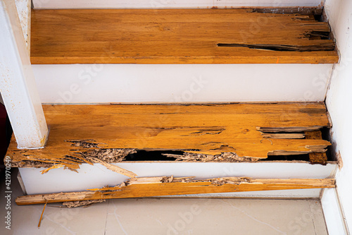 Canvas-taulu House stairs that were bitten by termites