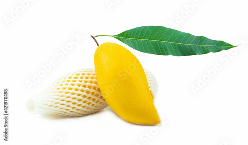 A golden yellow ripe mango ...