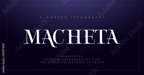 Elegant alphabet letters font and number. Classic Lettering Minimal Fashion Design. Typography modern serif fonts decorative vintage concept. vector illustration