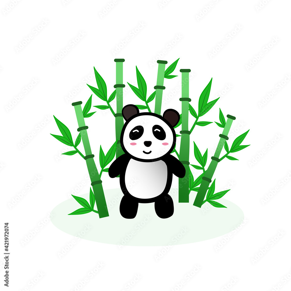 Fototapeta premium Panda's food is bamboo trees and pandas are in the middle of the bamboo forest.