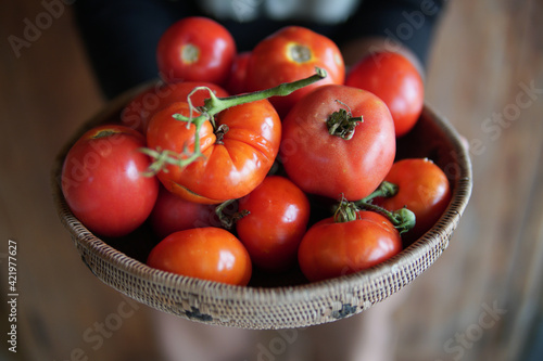 hand holding fresh raw red tomatoes in basket