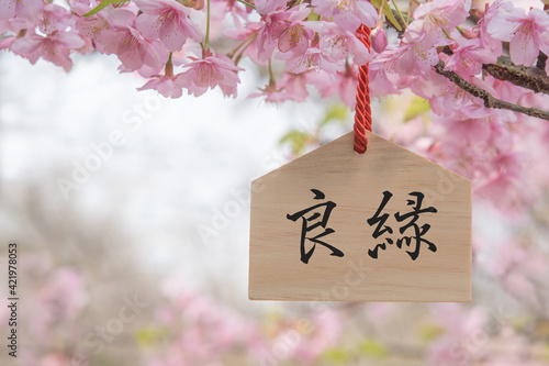 絵馬　桜の花　良縁 © tamayura39