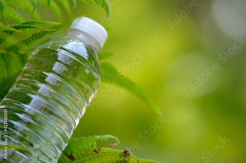 bottle of water in green natural background and space