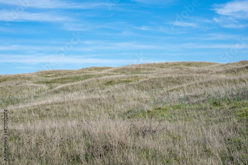 Hummock and Swale Topography in Tom McCall Nature Preserve near Mosier  Oregon. A result of hummocky and swaley cross-stratification forming small hills like moguls dotting a landscape.