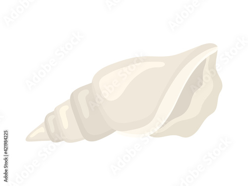 white seashell isolated