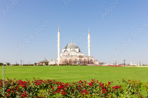 New Sharjah Mosque (Sharjah Masjid), the largest mosque in the Emirate of Sharjah, the United Arab Emirates, white sandstone facade with domes and minarets, green lawn and bugenwilla flowers around.